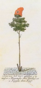 Freiheitsbaum